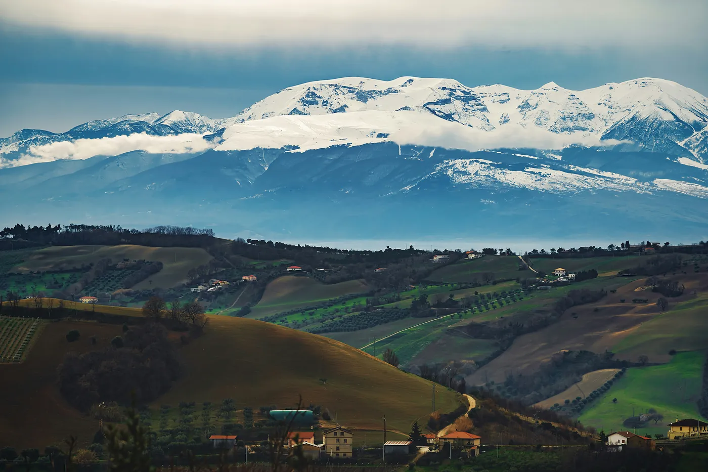 Colline coltivate con casali e ulivi e, sullo sfondo, le montagne innevate dell'Abruzzo