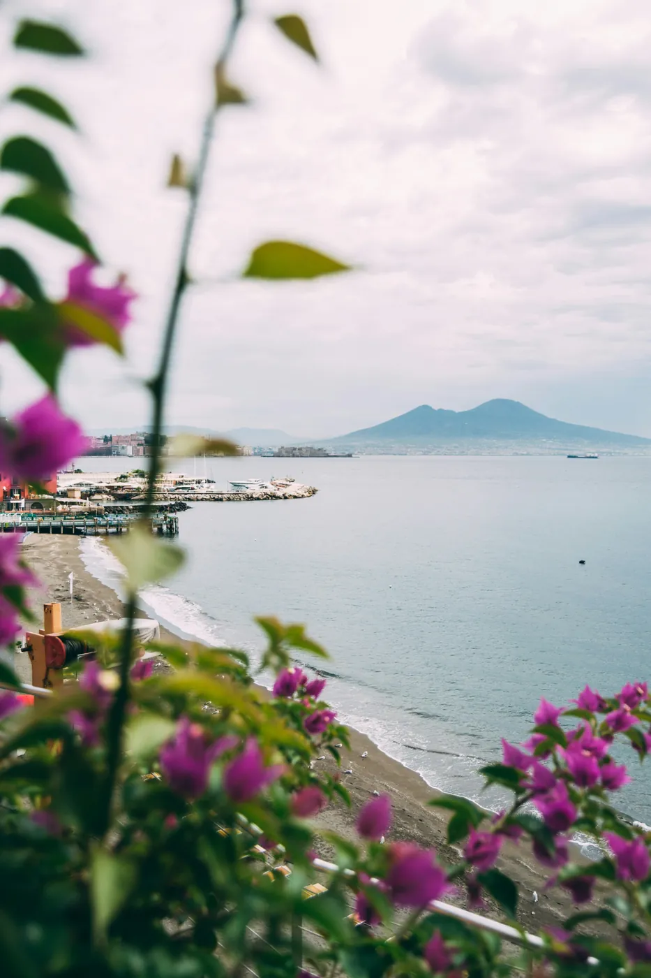 Il Vesuvio oltre il golfo di Napoli, con la spiaggia e rami di bouganville in primo piano