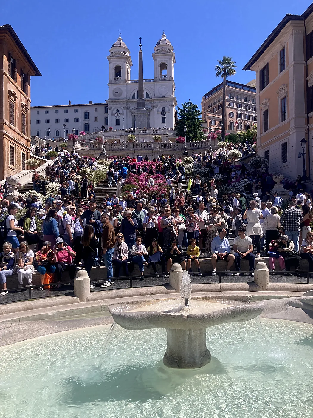 La scalinata di Trinità dei Monti a Roma fiorita di azalee e gremita di gente, con la Barcaccia in primo piano.