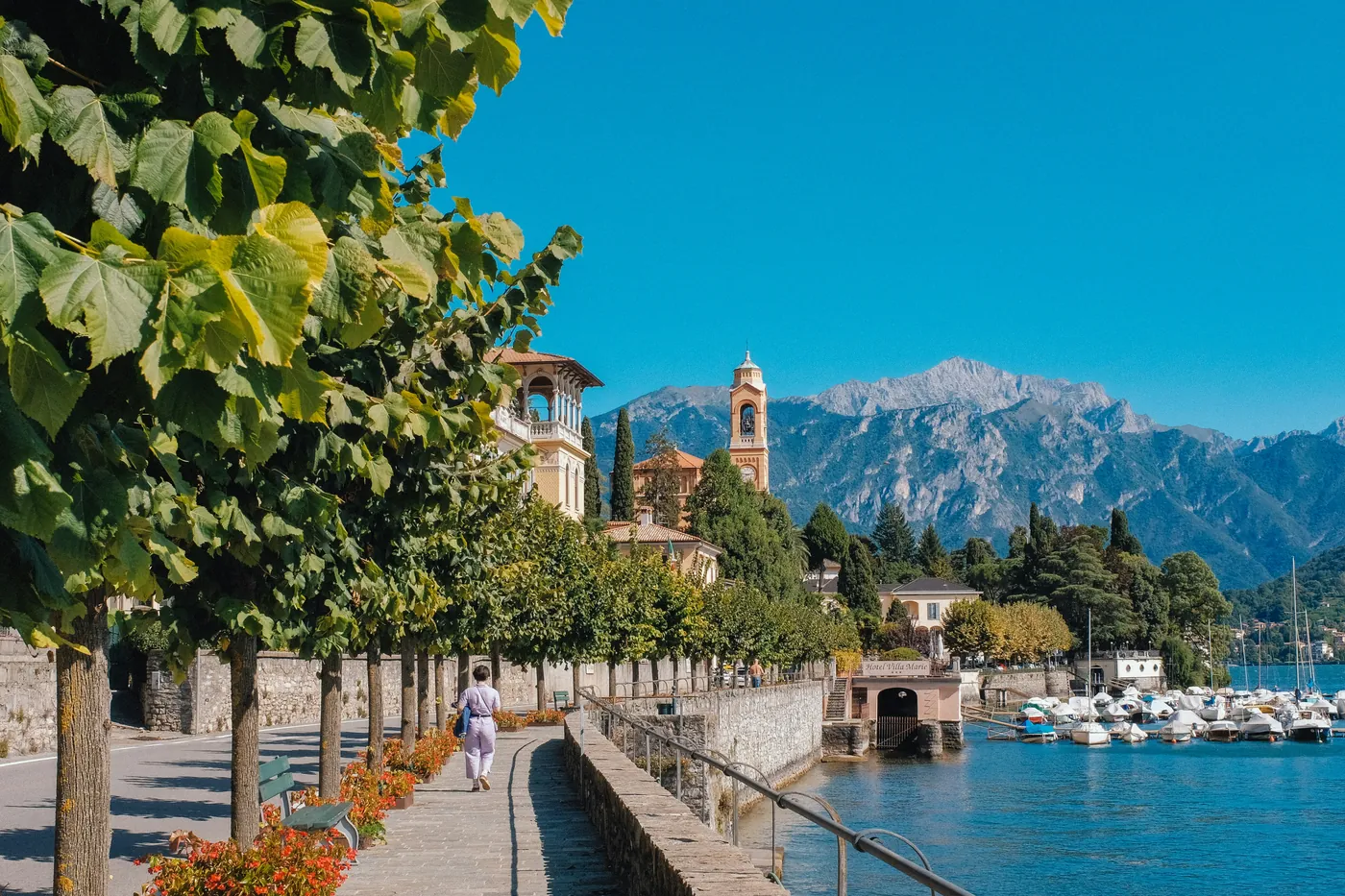 Il lungolago alberato di Tremezzo con il campanile e le montagne oltre il lago di Como