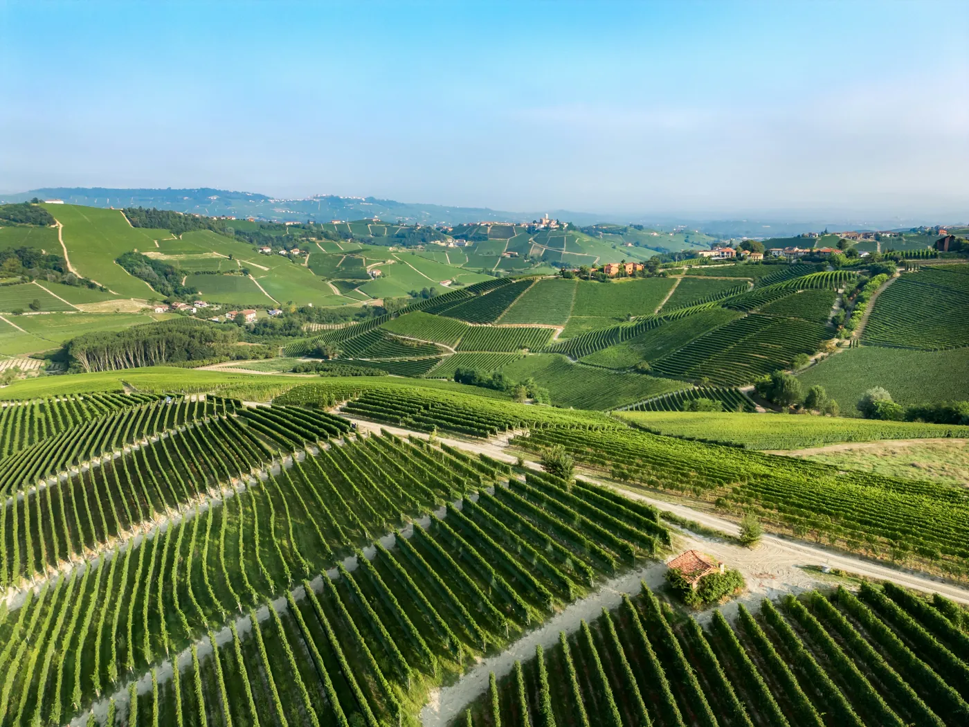 Colline coperte di filari di vigne a perdita d'occhio, con un paese sul crinale