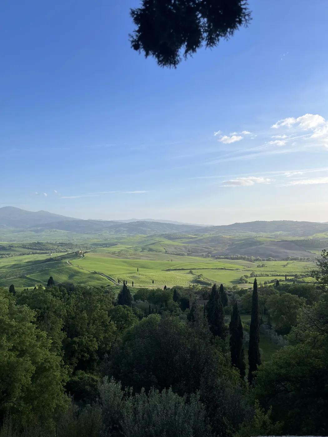 Le colline verdi della Val d'Orcia viste dalle mura di Pienza