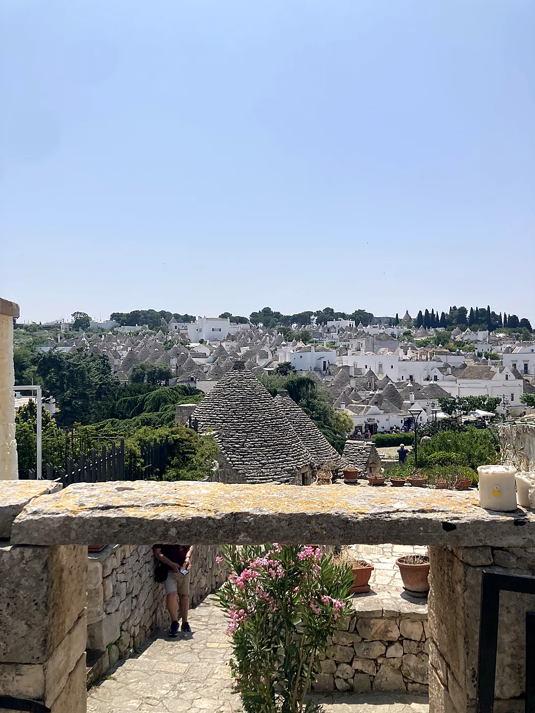I tetti a cono dei trulli di Alberobello visti da un belvedere di pietra, con un oleandro in fiore.