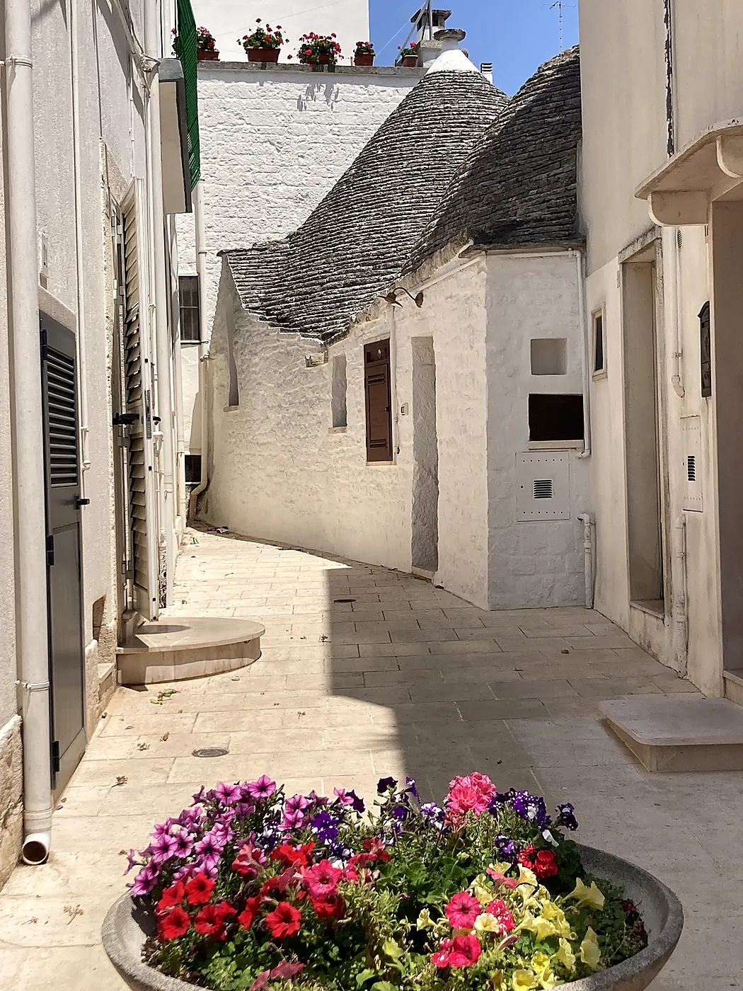 Un vicolo bianco di Alberobello con i tetti conici in pietra dei trulli e una fioriera di petunie in primo piano.