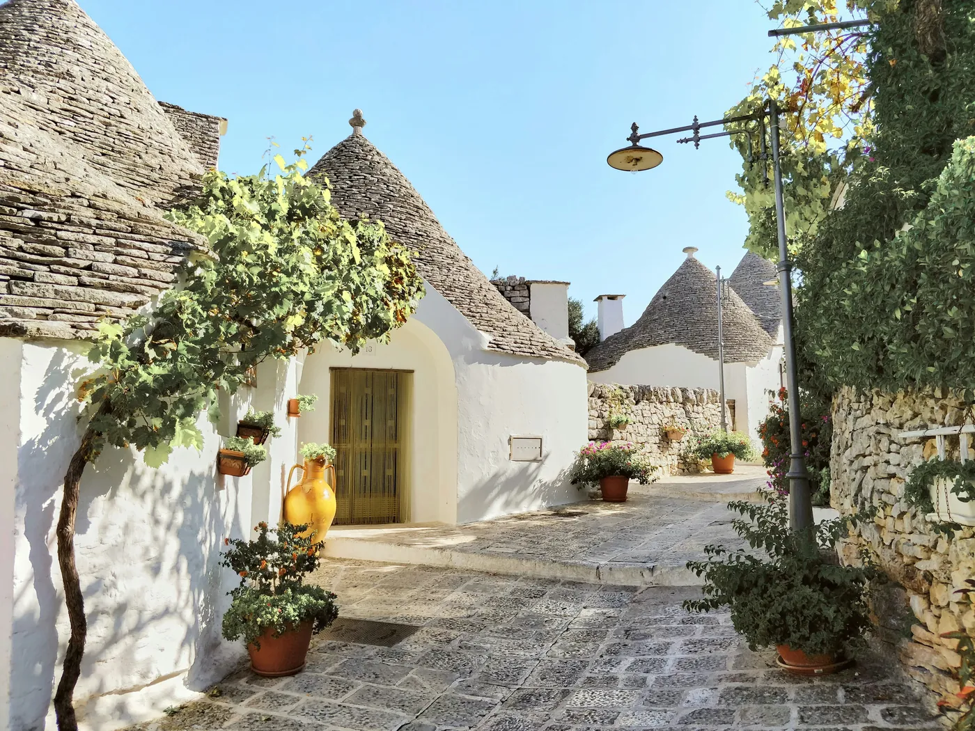 Una stradina di Alberobello tra i trulli bianchi con i tetti a cono, vasi di fiori e una vite