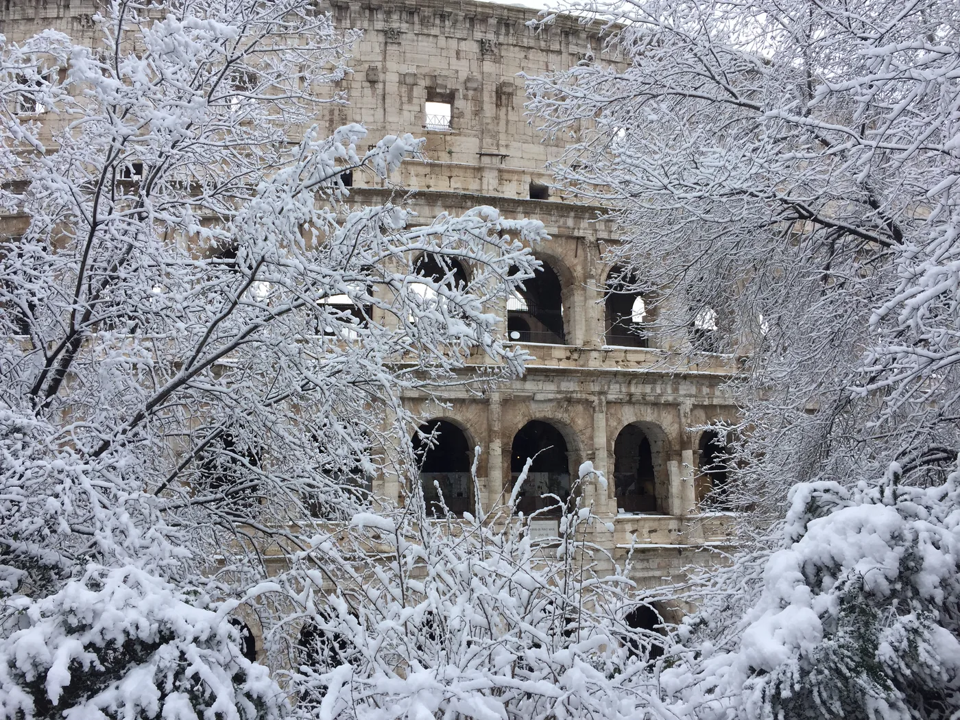 Le arcate del Colosseo dietro i rami carichi di neve