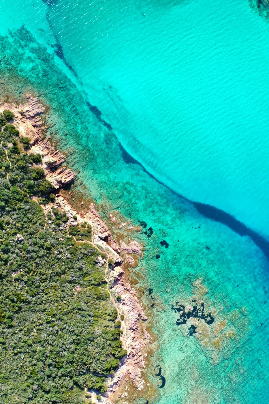 Una costa rocciosa con macchia mediterranea e acqua trasparente, fotografata dall'alto