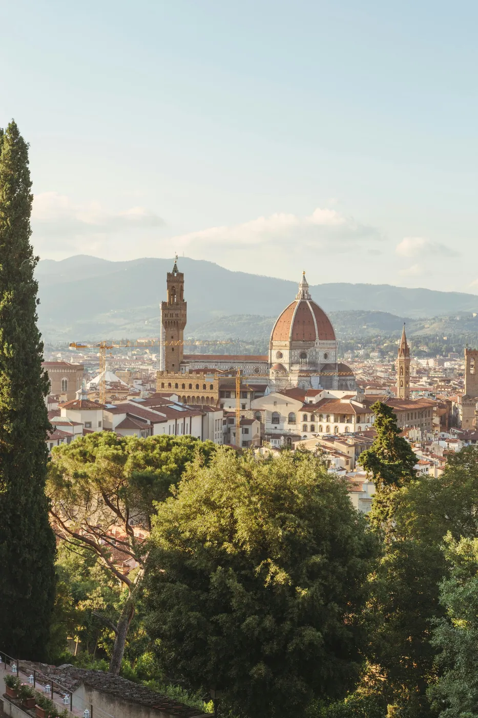 La cupola del Duomo e la torre di Palazzo Vecchio a Firenze, viste da un giardino con cipressi e pini