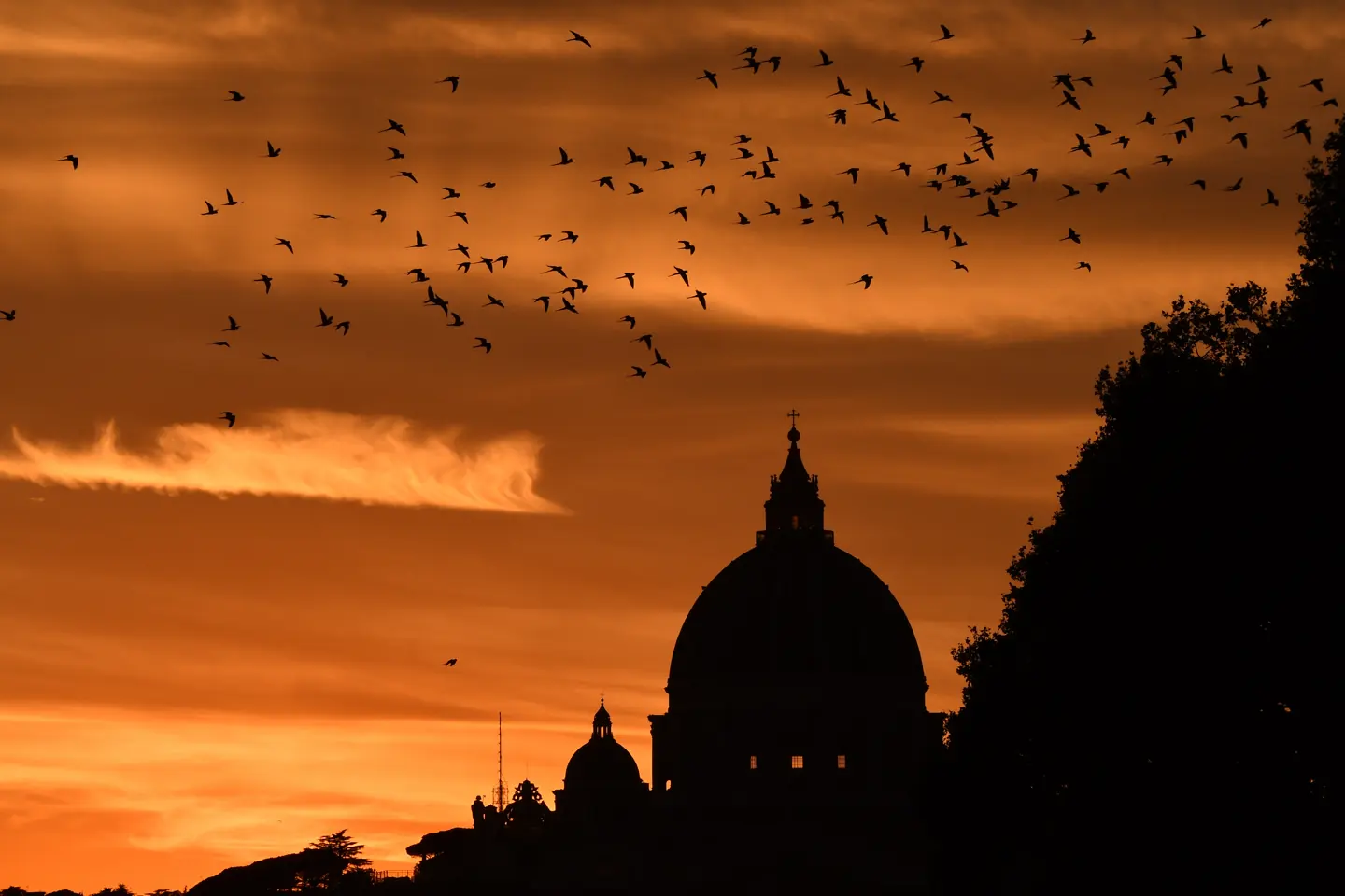 Stormi di uccelli sul profilo scuro della cupola di San Pietro contro un cielo arancione al tramonto