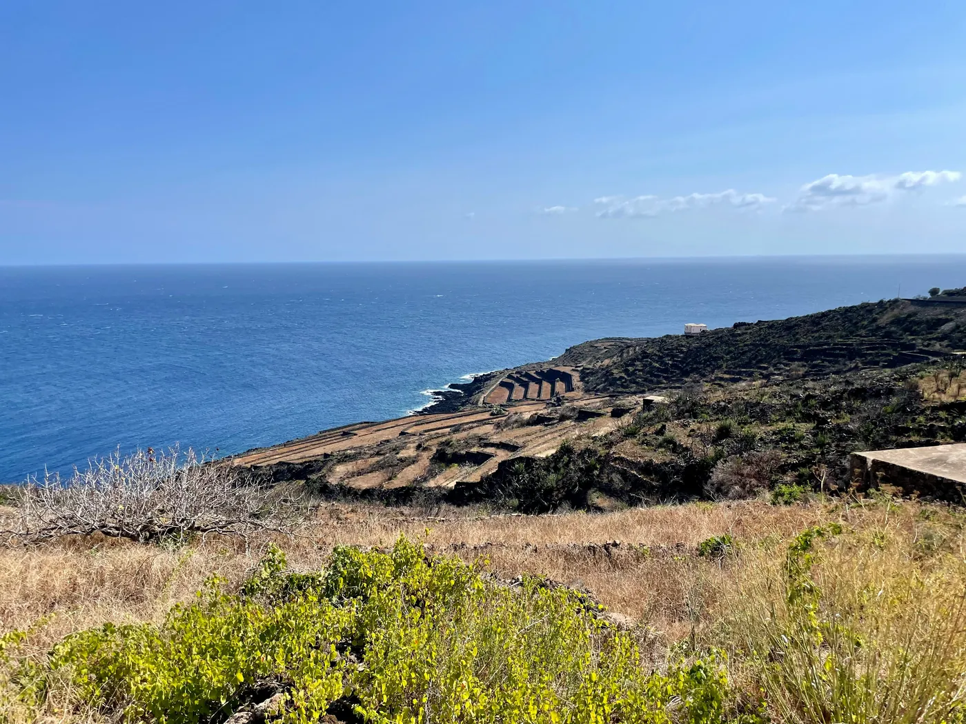 La coltivazione della vite ad alberello della comunità di Pantelleria