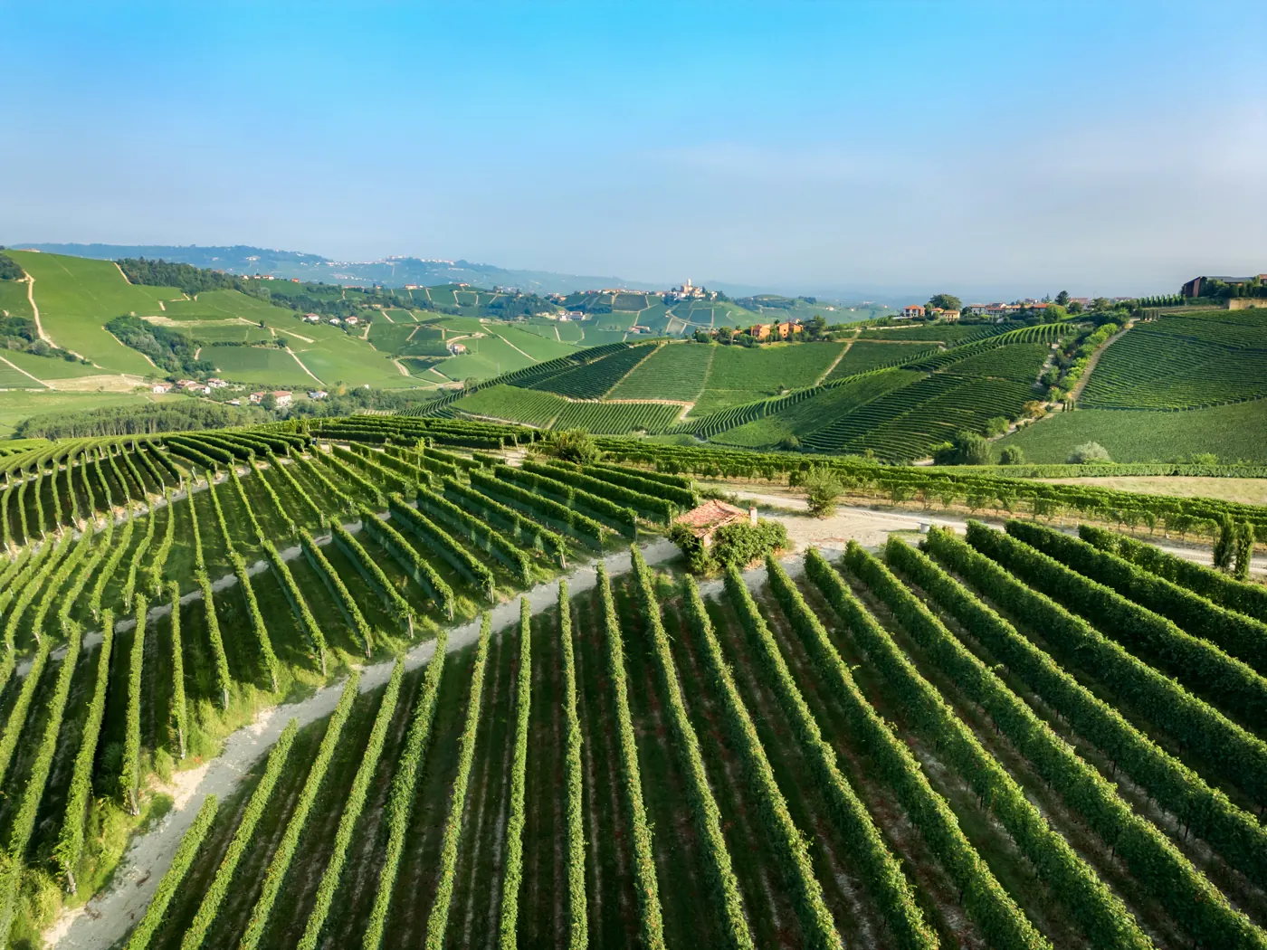 Paesaggi vitivinicoli del Piemonte: Langhe-Roero e Monferrato