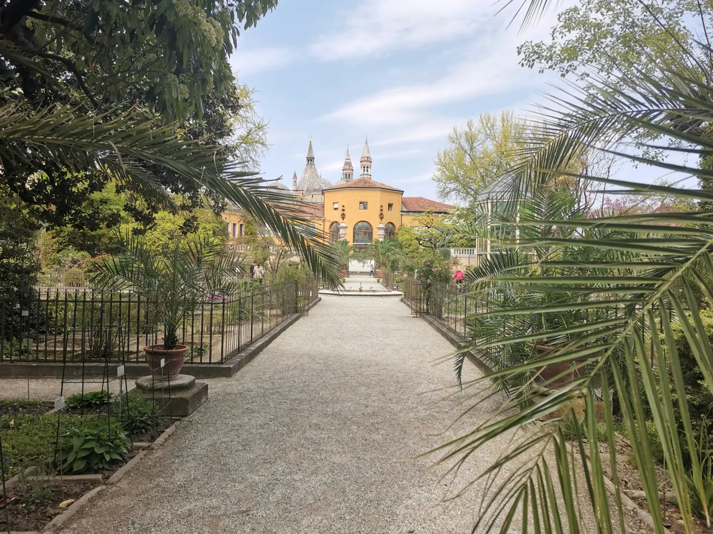 L'Orto botanico di Padova