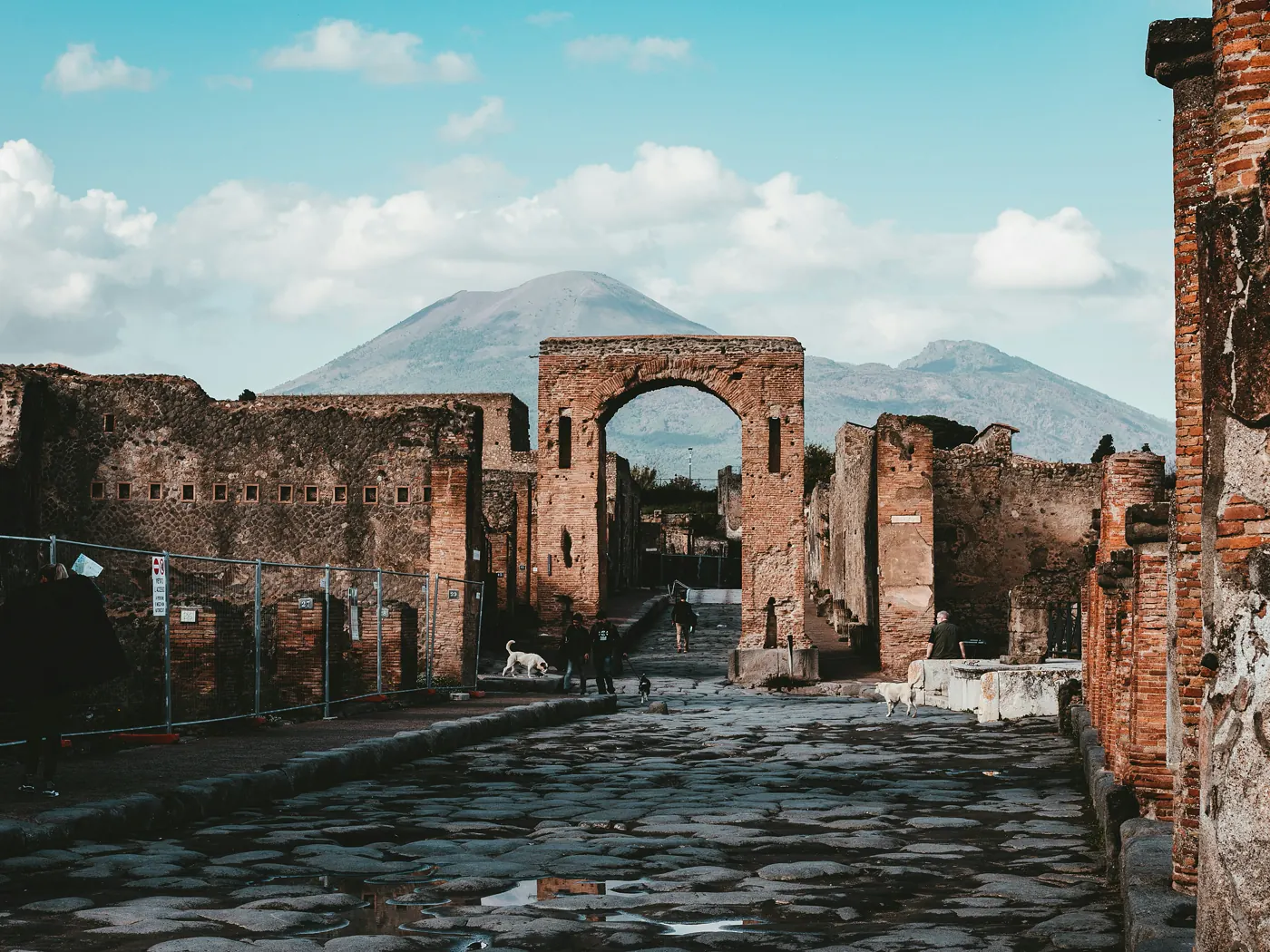 Aree archeologiche di Pompei, Ercolano e Torre Annunziata