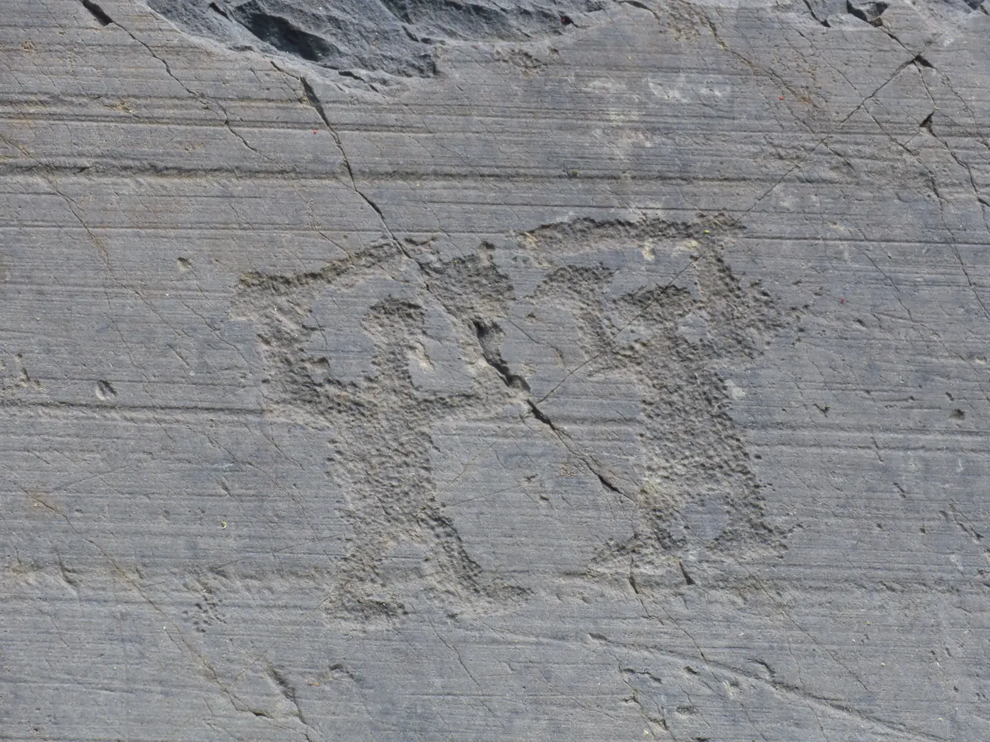Arte rupestre della Valcamonica